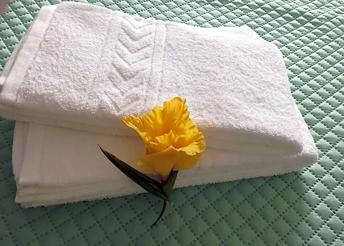 Baixinho Guest House
